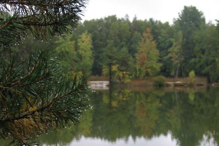 Vereinsgewässer - Formsandgrube Steinbach - D04 - 118